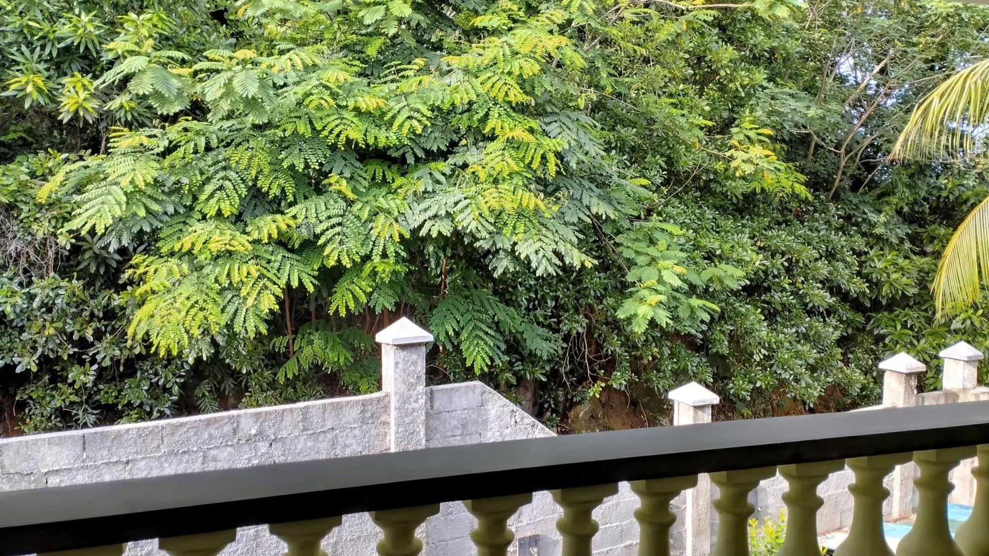 Dovass Self Catering Apartments Takamaka Rom bilde